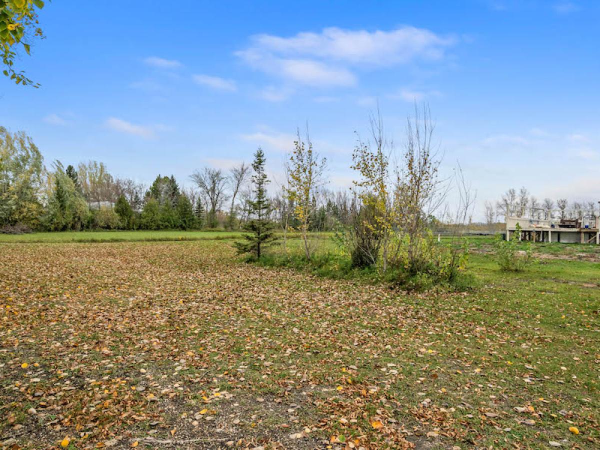 Land