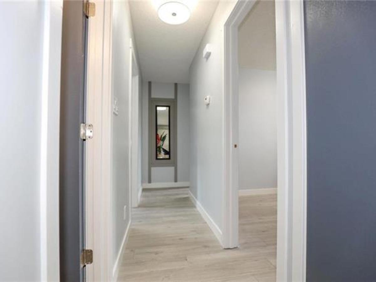 Main Level